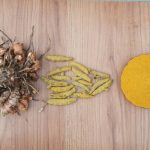 Herbal Joint Support Turmeric: Nature’s Overlooked Fix for Stiffness and Inflammation