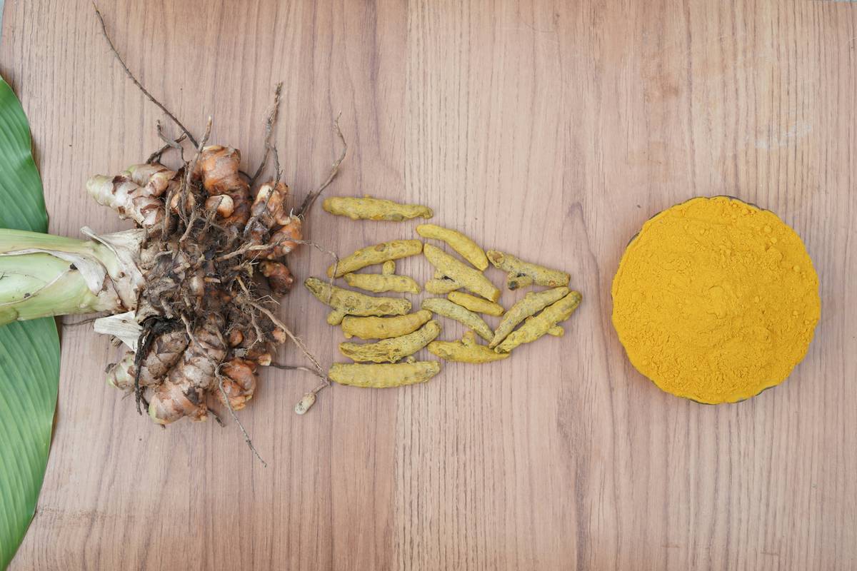 Turmeric Sustained Energy: The Spice Hack for All-Day Vitality Without the Crash